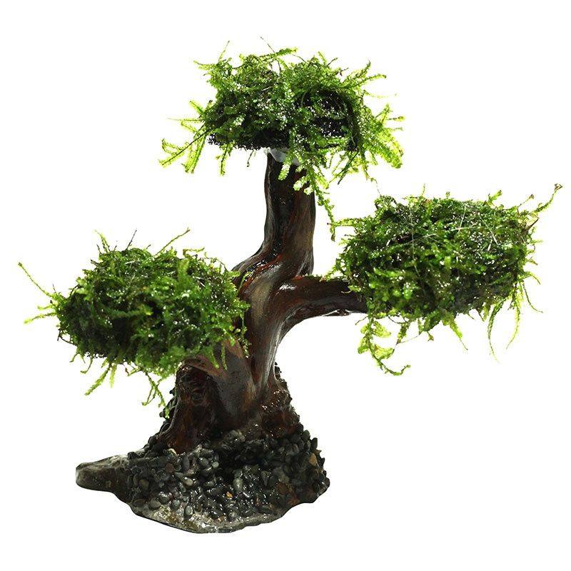 莫斯树无土绑好水族箱鱼缸造景装饰草缸植物活体淡水水草直接沉底,宠物/宠物食品及用品,造景/装饰,淘宝优惠券,粉丝福利购,淘宝优惠卷