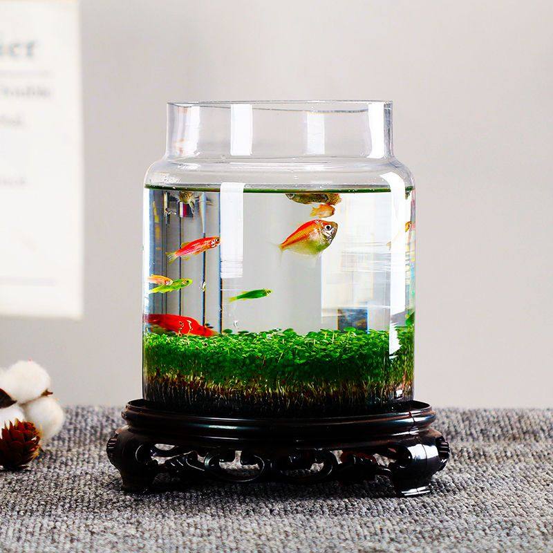 桌面生态水草缸玻璃瓶鱼缸种植水草鱼缸水培绿植套装,宠物/宠物食品及用品,造景/装饰,淘宝优惠券,粉丝福利购,淘宝优惠卷