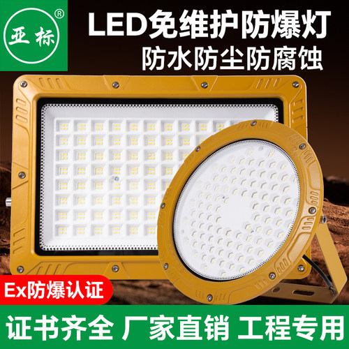 亚标LED防爆防腐投光灯220V
