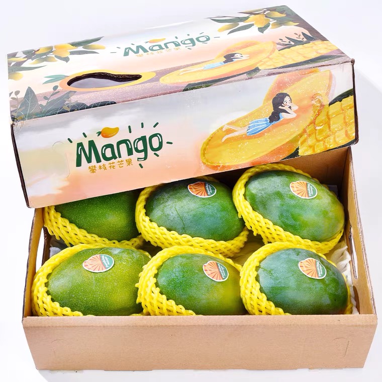四川攀枝花凯特芒大芒果整箱10斤