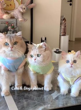 猫咪衣服春夏透气华夫格拼色ins风防掉毛小型犬狗狗服装宠物服饰