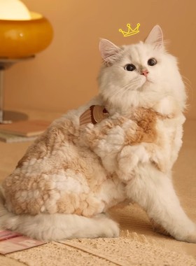 猫咪衣服冬季防掉毛布偶猫蓝猫幼猫小猫英短宠物冬天保暖可爱绒衣