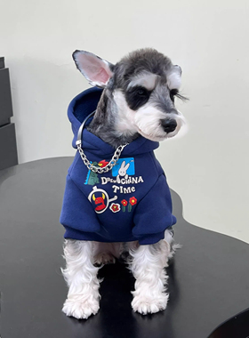 狗衣服宠物新款可爱涂鸦加绒保暖连帽卫衣秋冬雪纳瑞幼犬两脚衣