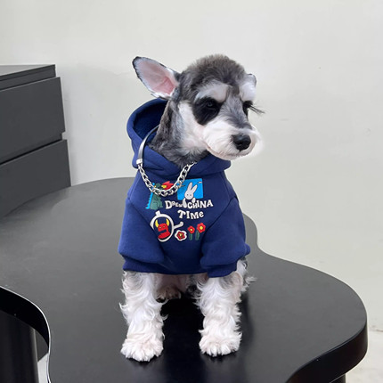 狗衣服宠物新款可爱涂鸦加绒保暖连帽卫衣秋冬雪纳瑞幼犬两脚衣