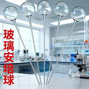 玻璃安瓿球球直径16-18mm杆长7-8cm实验安培球单丝厚薄均匀可定制