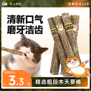 宠物猫咪木天蓼磨牙棒猫薄荷玩具洁齿零食逗猫木天廖啃咬解压零食