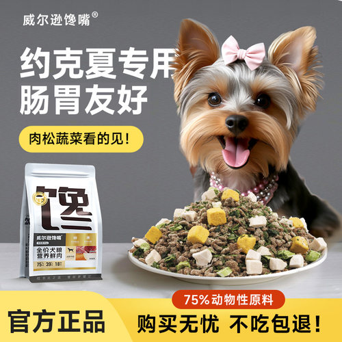 威尔逊馋嘴约克夏成犬中小型犬