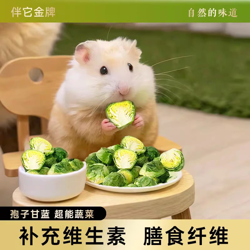 宠物零食孢子甘蓝冻干仓鼠零食磨牙即食宠物蔬菜干金丝熊兔子饲料
