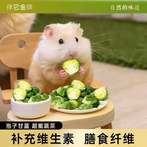 宠物零食孢子甘蓝冻干仓鼠零食磨牙即食宠物蔬菜干金丝熊兔子饲料