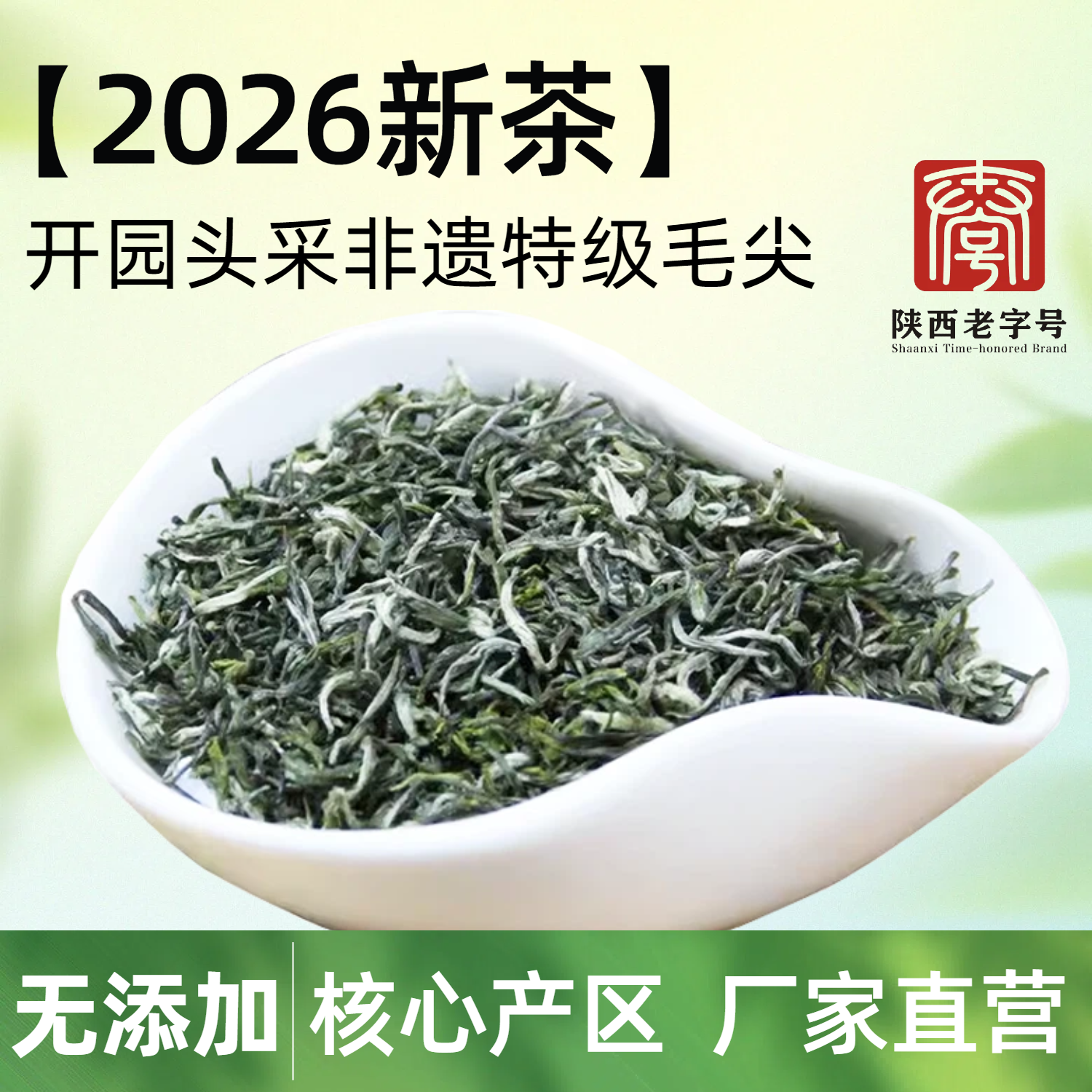 2026新茶紫阳手工毛尖绿茶