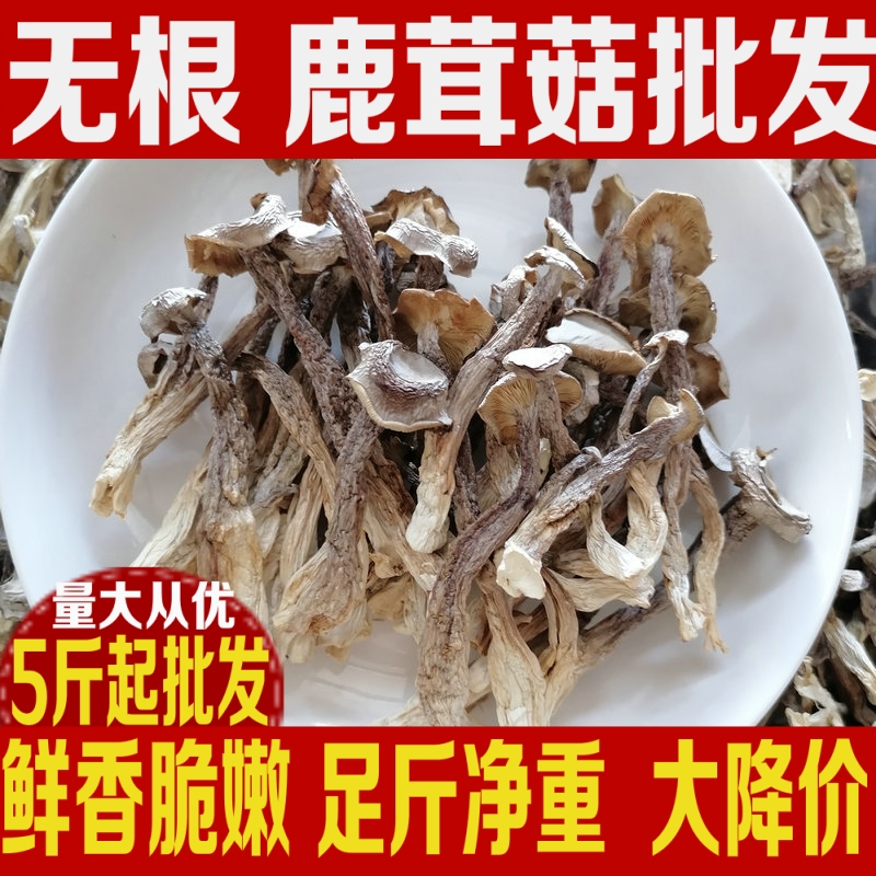 剪跟鹿茸菇新货鲜香脆嫩包邮