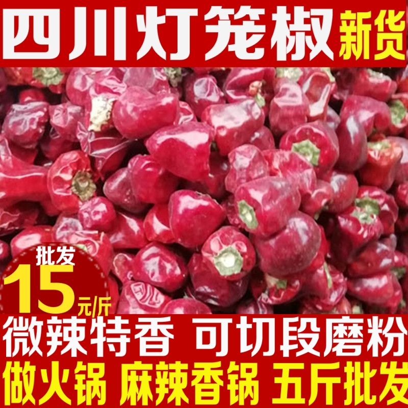 中大果足量500克包邮灯笼椒批发