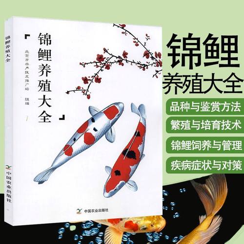 锦鲤养殖大全 锦鲤饲养殖方法技巧池塘养鱼观赏鱼锦鲤养殖技术大全养殖与鉴赏鲤鱼喂养技巧教程观赏鱼常见疾病防治书籍