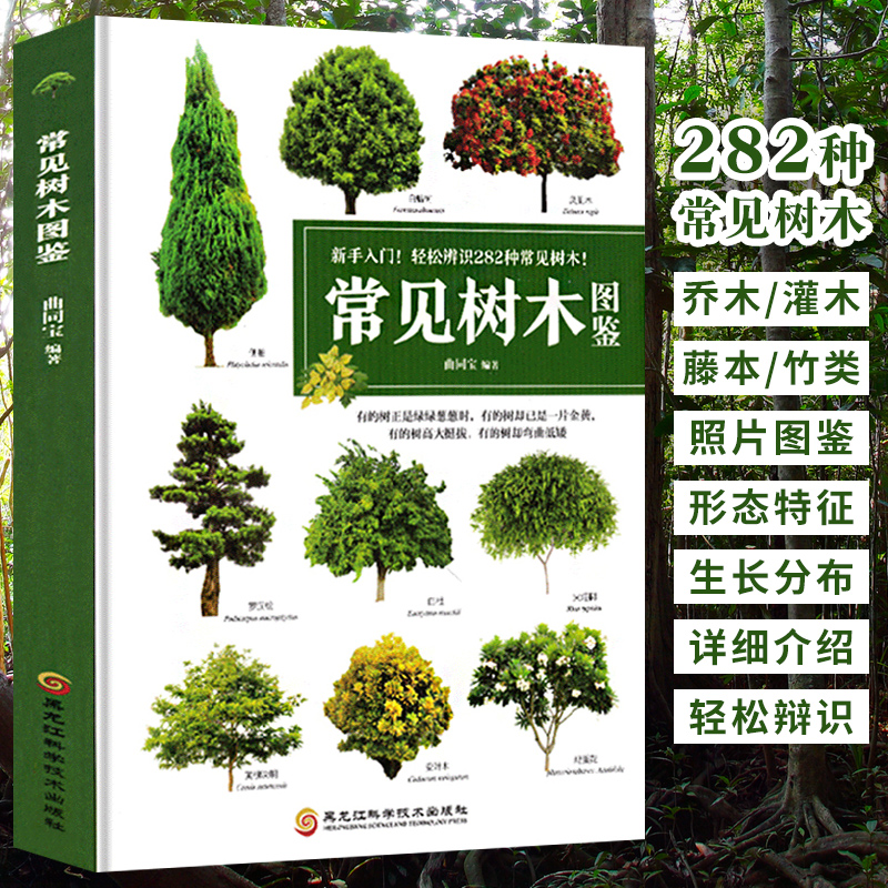 新手入门轻松辨识常见树木图鉴 大自然植物乔木灌木盆栽盆景园林绿化