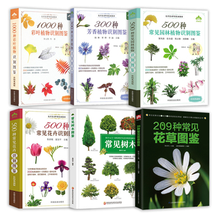 常见树木图鉴 6册 1000种彩叶植物识别图鉴书籍 209种常见花草图鉴 园林植物识别图鉴 300种芳香植物识别图鉴 500种常见花卉