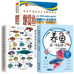 喂养与疾病防治 观赏鱼 观赏鱼完全图鉴 3册 图解家庭养鱼 养鱼这一本就够了 基本知识常识新手入门手册书籍