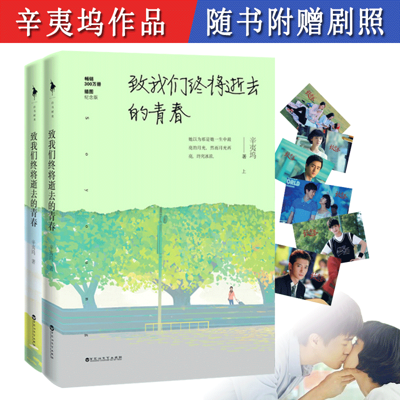 全2册辛夷坞作品：致我们终将逝去的青春//杨玏陈瑶赵又廷韩庚杨子姗江疏影主演电影青春校园小说原著正版书籍