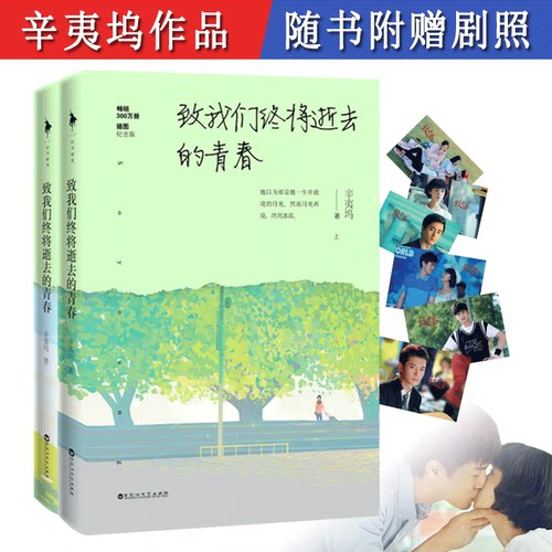 全2册 辛夷坞作品：致我们终将逝去的青春//杨玏陈瑶赵又廷韩庚杨子姗江疏影主演电影青春校园小说原著正版书籍
