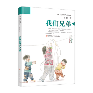 我们兄弟 祁智著 儿童文学成长小说7-14岁青少年读物 还原朴素真挚的中国式童年与血脉相依的手足深情 乡村烟火成长故事课外书