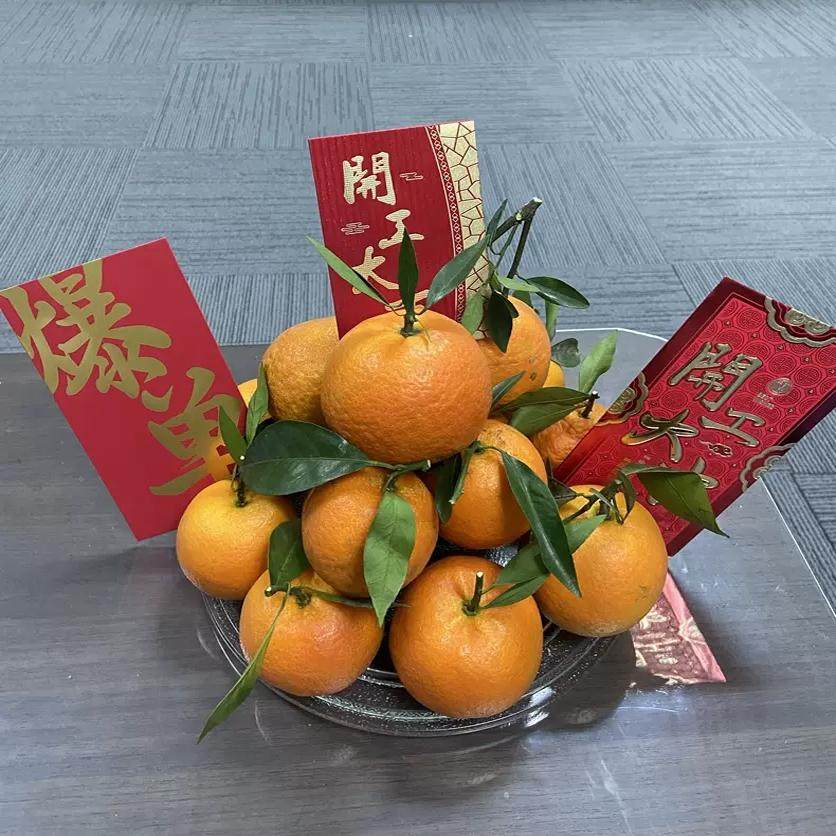 年货正宗潮州柑本地带叶子蕉柑沃柑年会摆盘新鲜水果橘子大吉大利,水产肉类/新鲜蔬果/熟食,桔子,淘宝优惠券,粉丝福利购,淘宝优惠卷