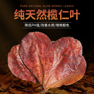 斗鱼原生缸水族天然榄仁叶降低鱼缸PH值降酸调节改善水质懒人叶