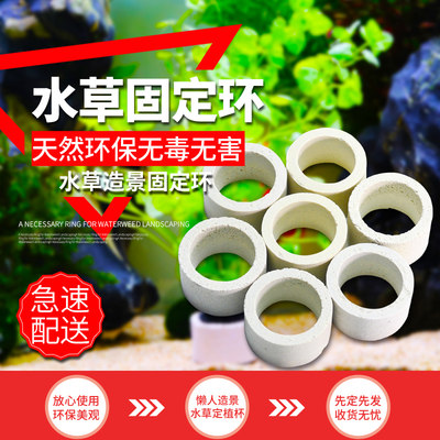 水宠世家鱼缸天然水草陶瓷杯套餐