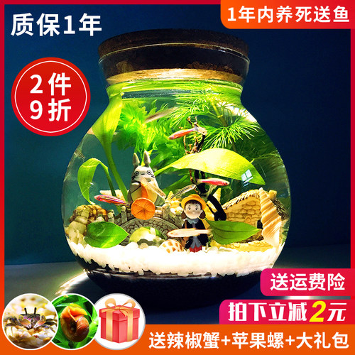 水宠世家桌面造景微景观斗鱼缸