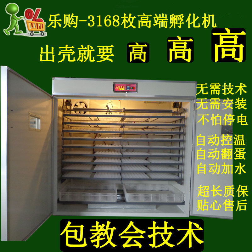 搞养殖用浮化箱出小鸡机器大型