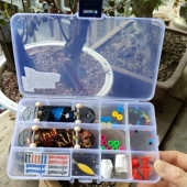 新款 小滑板 塑料四轮尖迷你双翘手指滑板益智卡通儿童收纳盒包装