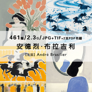 安德烈布拉吉利Andre 图片素材 Brasilier法国绘画作品合集电子版