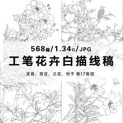 工笔花卉白描线稿花鸟植物填色练习高清电子图片568张设计素材
