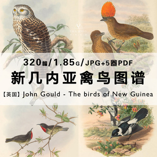 约翰古尔德John 图片素材资料 Gould禽鸟手绘图谱合集高清电子版
