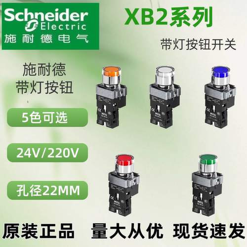 正品施耐德平头带灯按钮XB2BW