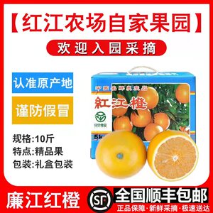 廉江正宗红橙红江橙红江农场特产薄皮孕妇水果新鲜当季整箱10斤