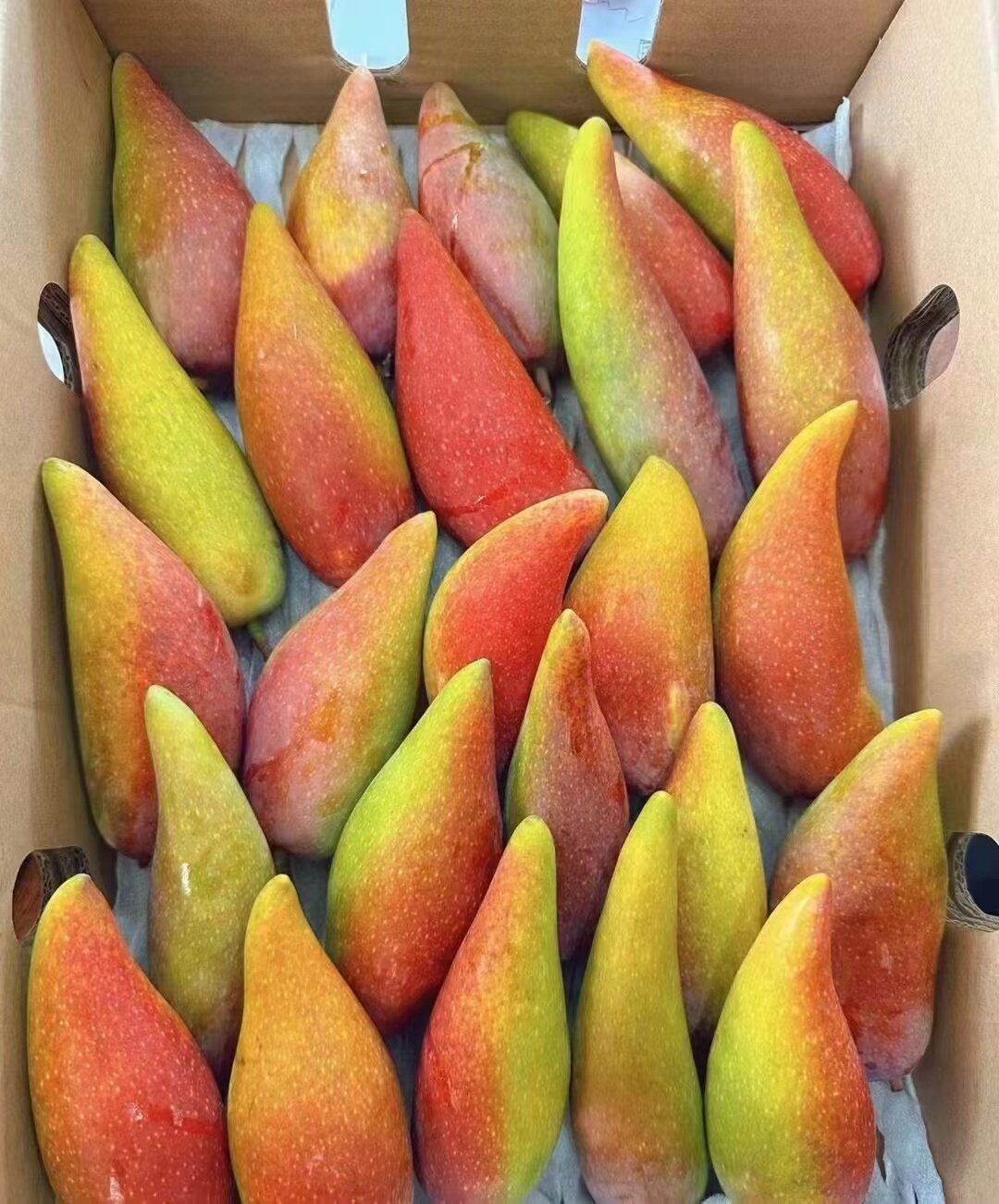 海南空运辣椒芒 礼盒当季水果 3.5斤/箱