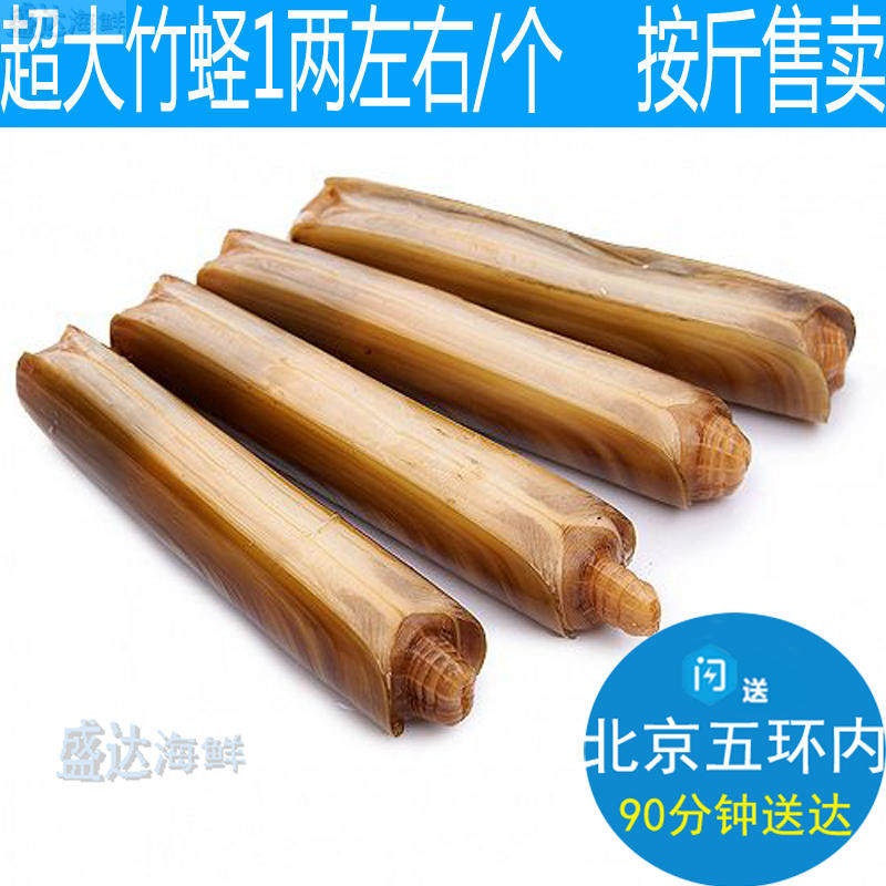 鲜活竹蛏 蛏子王 500g