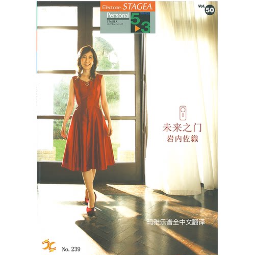 雅马哈双排键电子琴专用