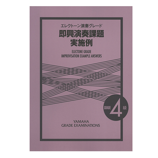 M710 4级  发顺丰  即兴演奏课题与示例 玛雅乐谱 