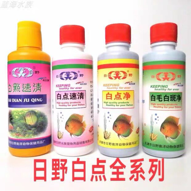 白点净正品日野金鱼锦鲤观赏鱼原生鱼免加温鱼药热带鱼冷水鱼通用