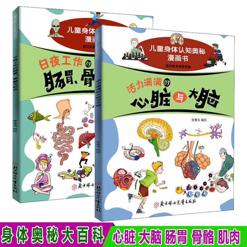 儿童身体认知奥秘漫画书 全套2册我可爱的身体日夜工作的肠胃骨骼与肌肉活力心脏与大脑少儿人体科普大百科人体结构启蒙正版书籍