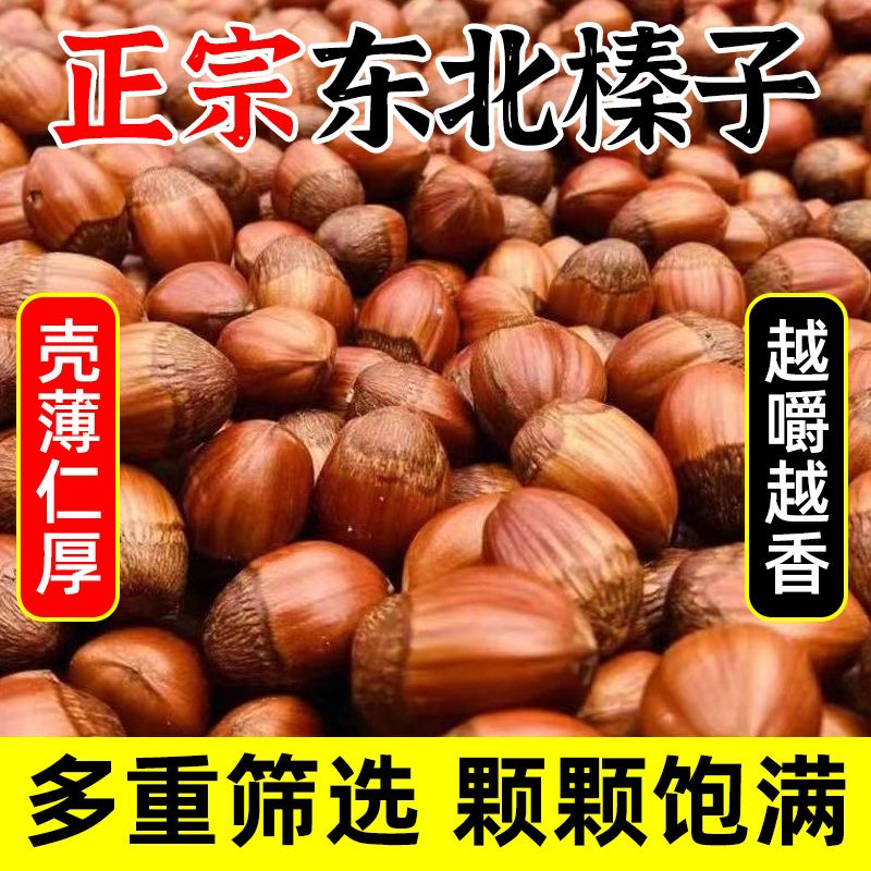 新货炒熟坚果种植大果东北大榛子榛子薄皮原味东北特产榛子干果