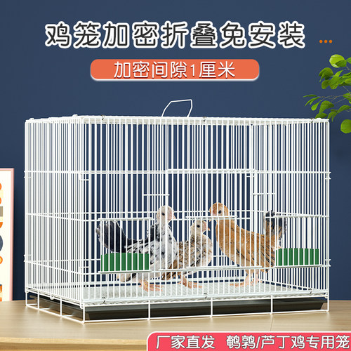 加密1厘米芦丁鸡笼免安装折叠