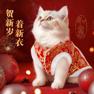 猫咪衣服冬天保暖狗狗拜年装 猫猫宠物新年衣服 泰迪小猫小狗秋冬装