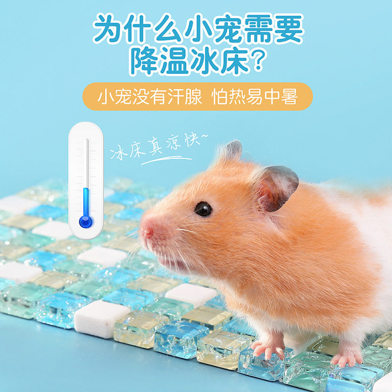 仓鼠凉席凉垫仓鼠金丝熊夏季降温仓鼠