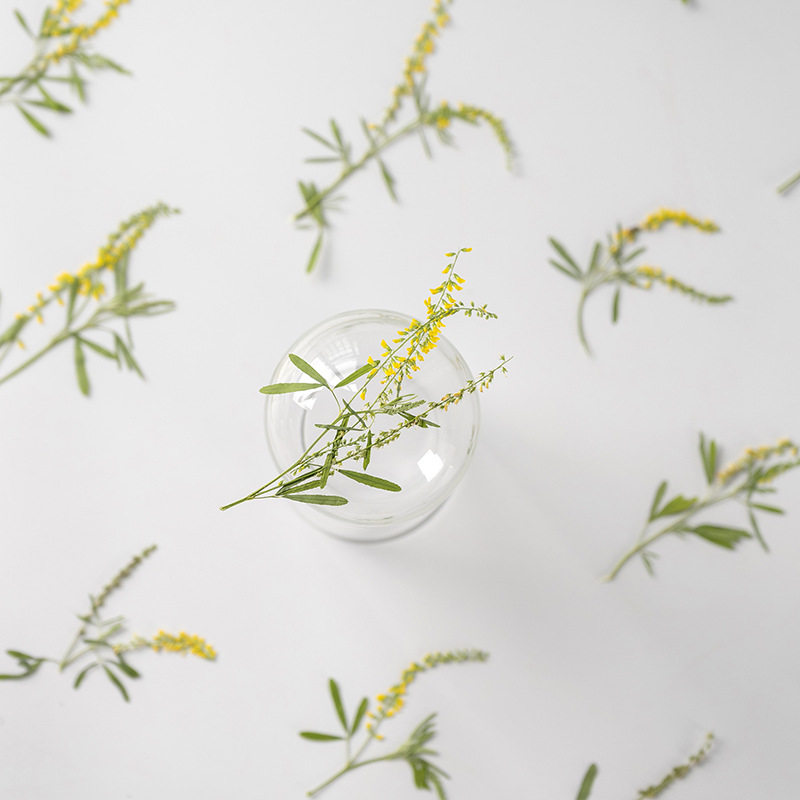 草木樨压花台灯干花押花书签相框