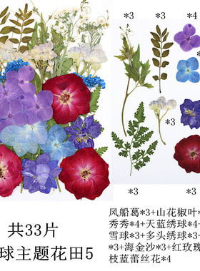 活动现场手工干花压花材料混合包