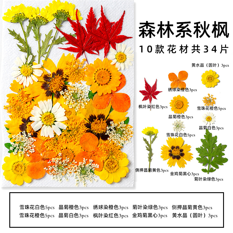 儿童幼儿园手工贴画DIY混合包树叶植物标本干花压花贴脸装饰写真图片