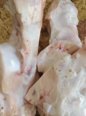 新鲜踝骨宠物洁齿补钙口臭玩具