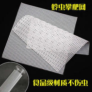 竹蛉筒黄蛉蛉虫筒攀爬网格蝈蝈叫罐蛉虫听筒白网格鸣虫筒用品用具