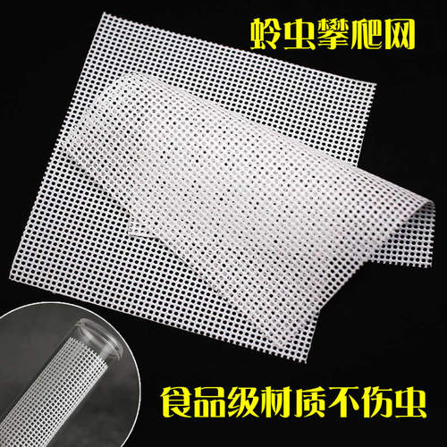 竹蛉黄蛉筒攀爬网格鲁秋鸣环保